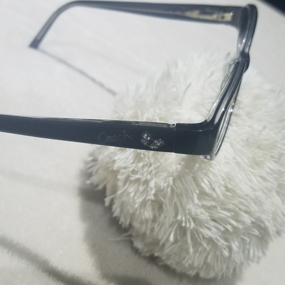 Coach Frame - Picture 3 of 9